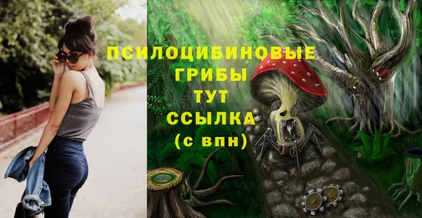 амф Баксан