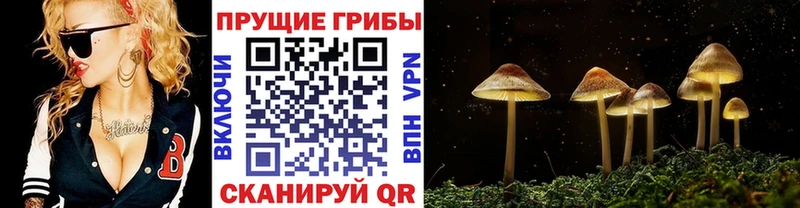 mega маркетплейс  Борисоглебск  Псилоцибиновые грибы MAGIC MUSHROOMS 