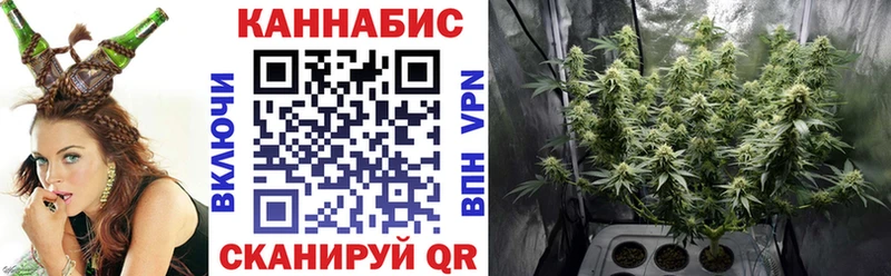 блэк спрут зеркало  Борисоглебск  МАРИХУАНА сатива 